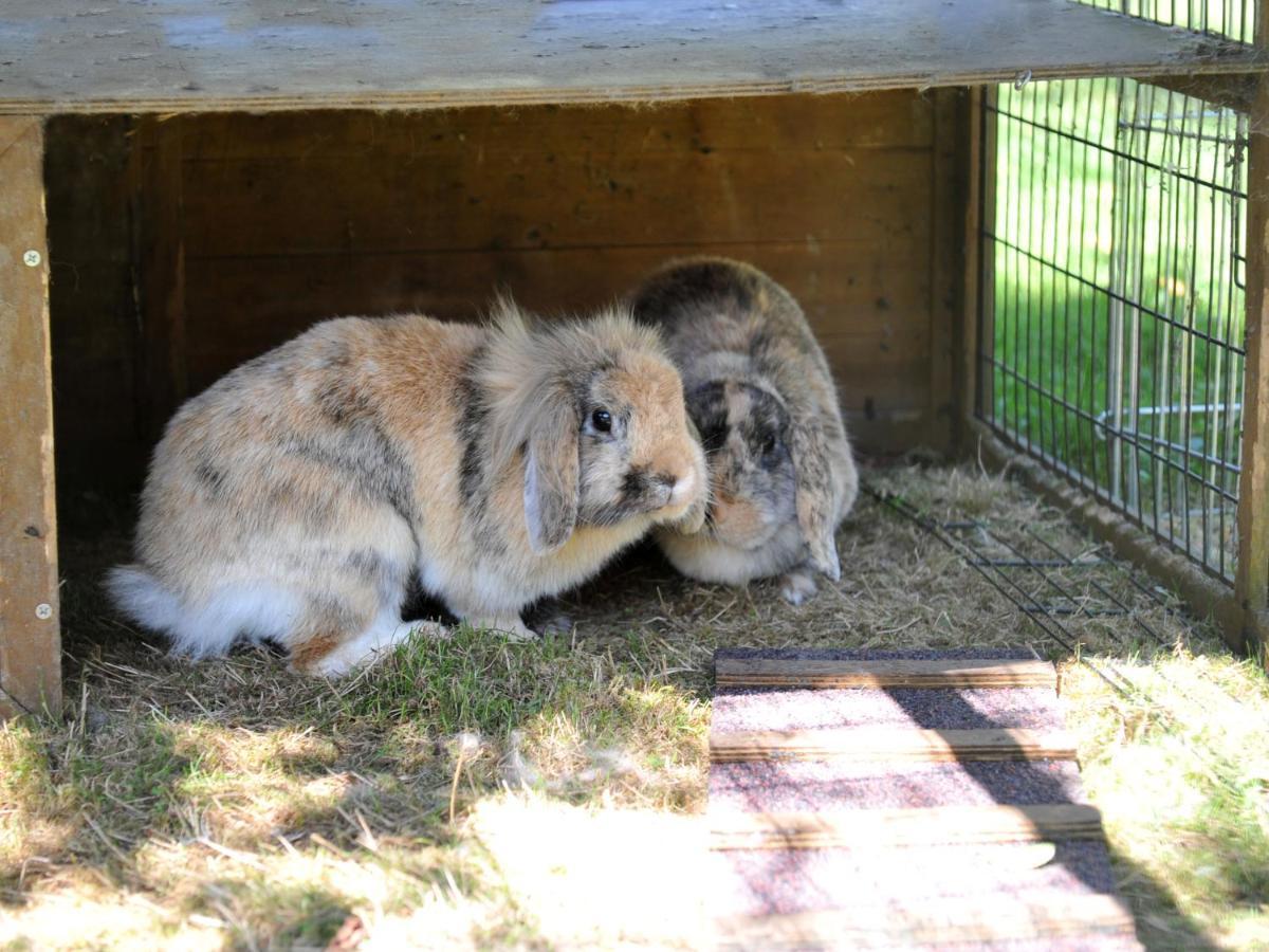 Ferienhof Moyer Hoslwang Bagian luar foto